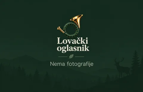 No photo
